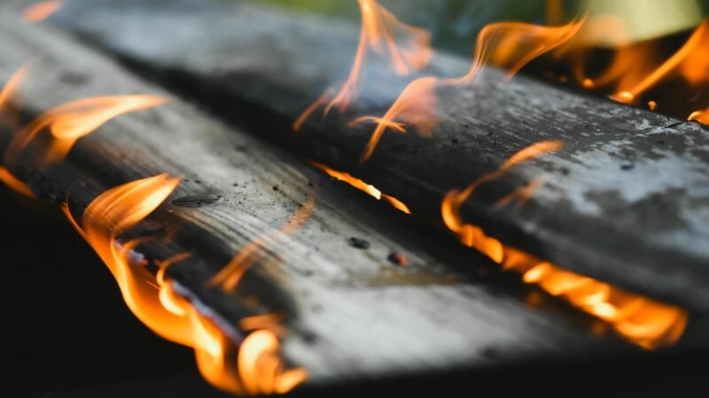 Fire an OK VP of Sales? Not in a tight capital market