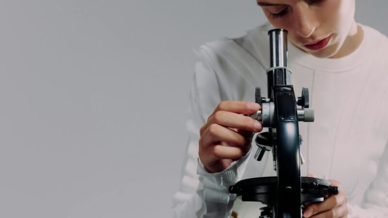 Nous Research launches NousCoder-14B, challenges Claude Code