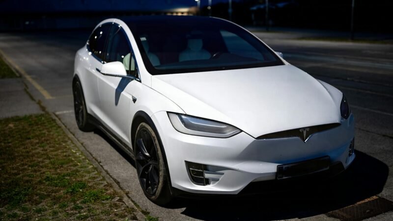 Behold, the Elon Musk jackass trophy