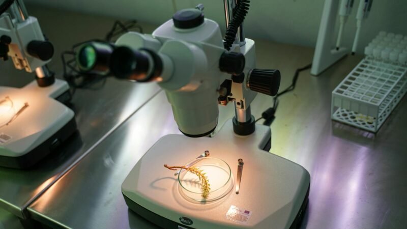 Colossal Biosciences grows chicken embryos in artificial egg
