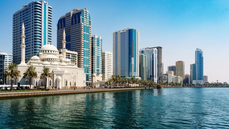 Gulf AI ambitions depend on vulnerable undersea cables