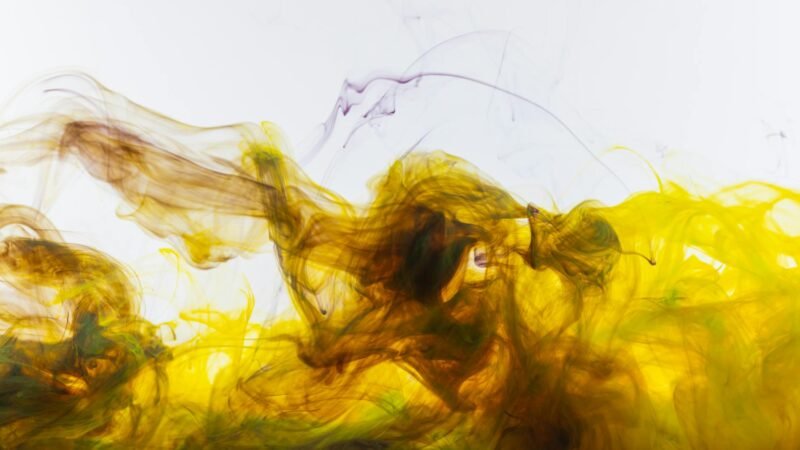Liquid Web dissolves StellarWP, integrates brands