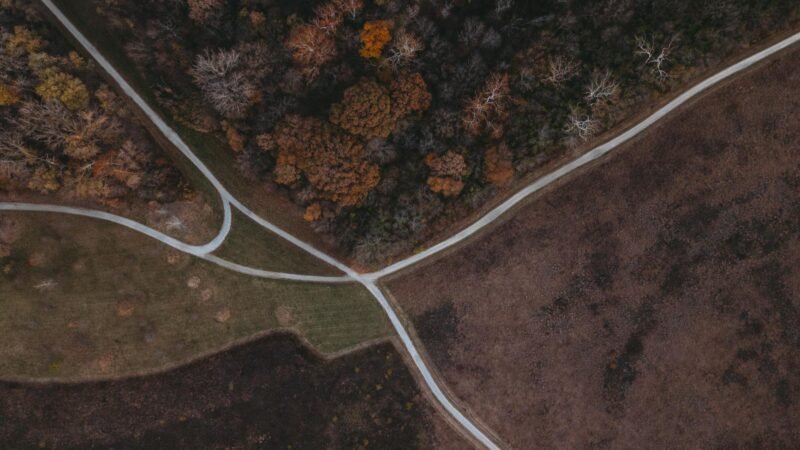 The Path raises $14.3M for AI therapy app