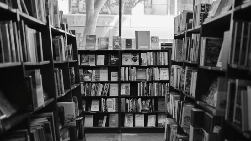 The literary world isn’t prepared for AI