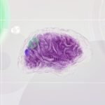 Bytedance Developing China’s Largest 10-Trillion-Parameter AI Model